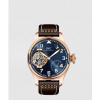 [IWC-아이더블유씨]<br>파일럿 워치 46.2 IW590303