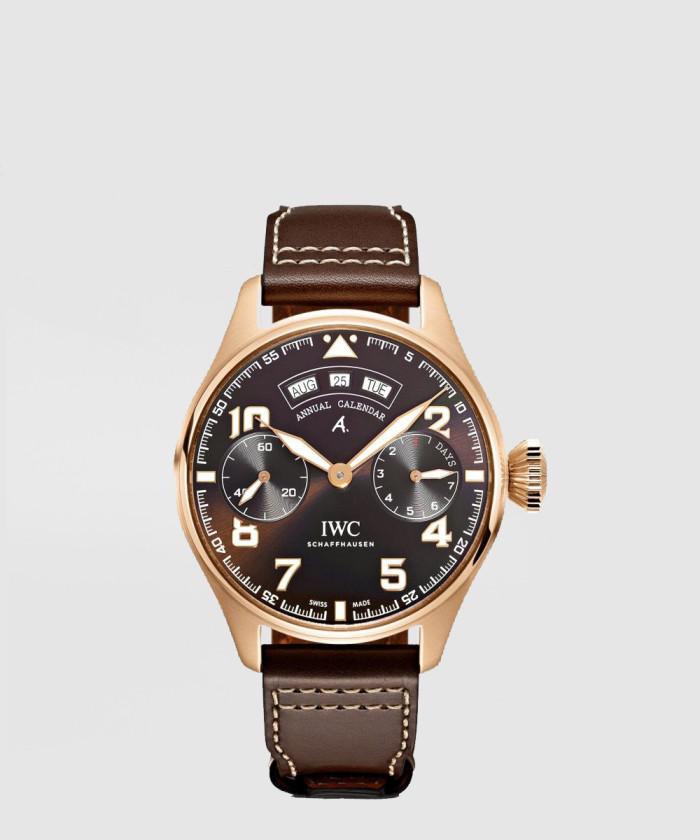 [IWC-아이더블유씨]<br>파일럿 워치 46.2 IW502706